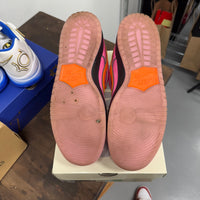 Powerpuff Girls Blossom SB Dunk Low (USED)