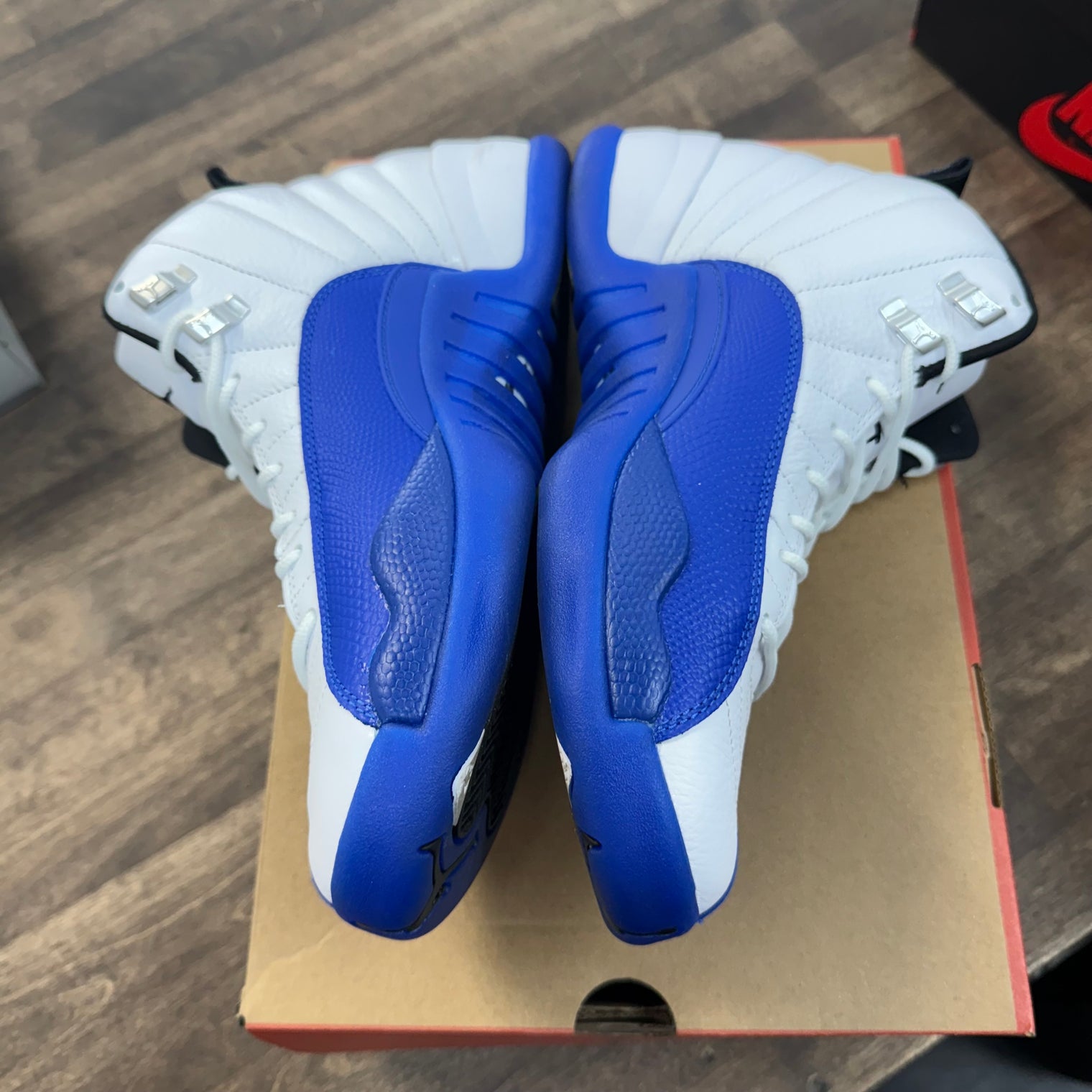 Blueberry Jordan 12 (USED)