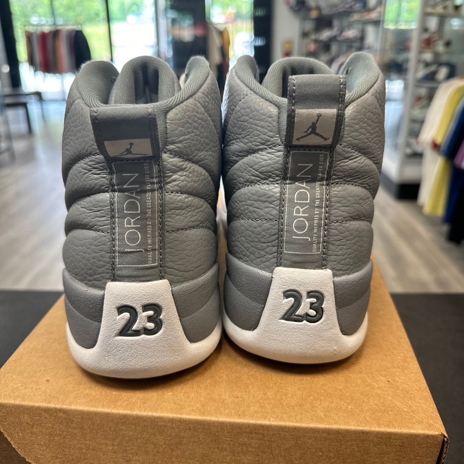 Stealth Jordan 12 (USED, No Box)
