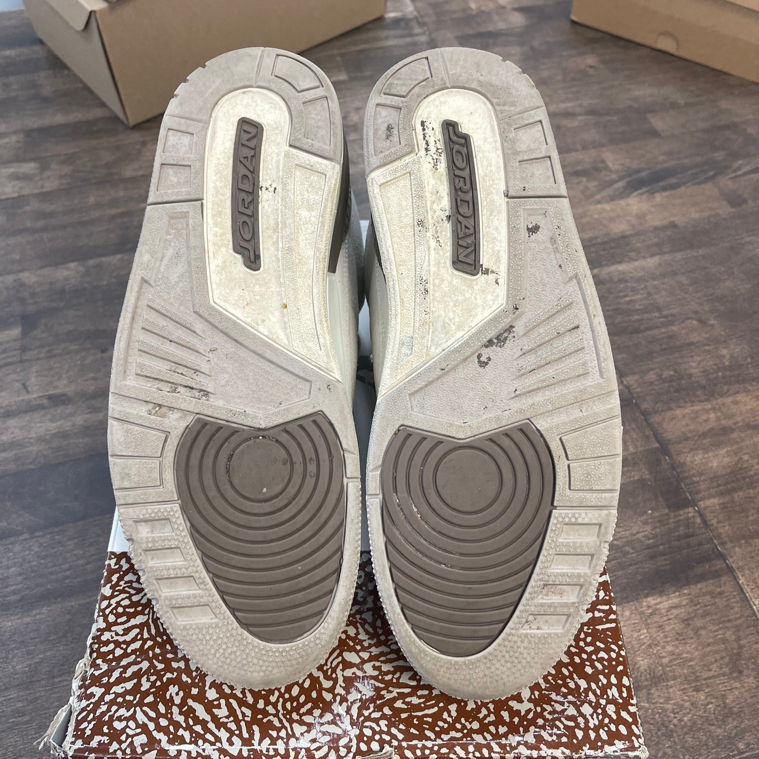 Palomino Jordan 3 (USED)