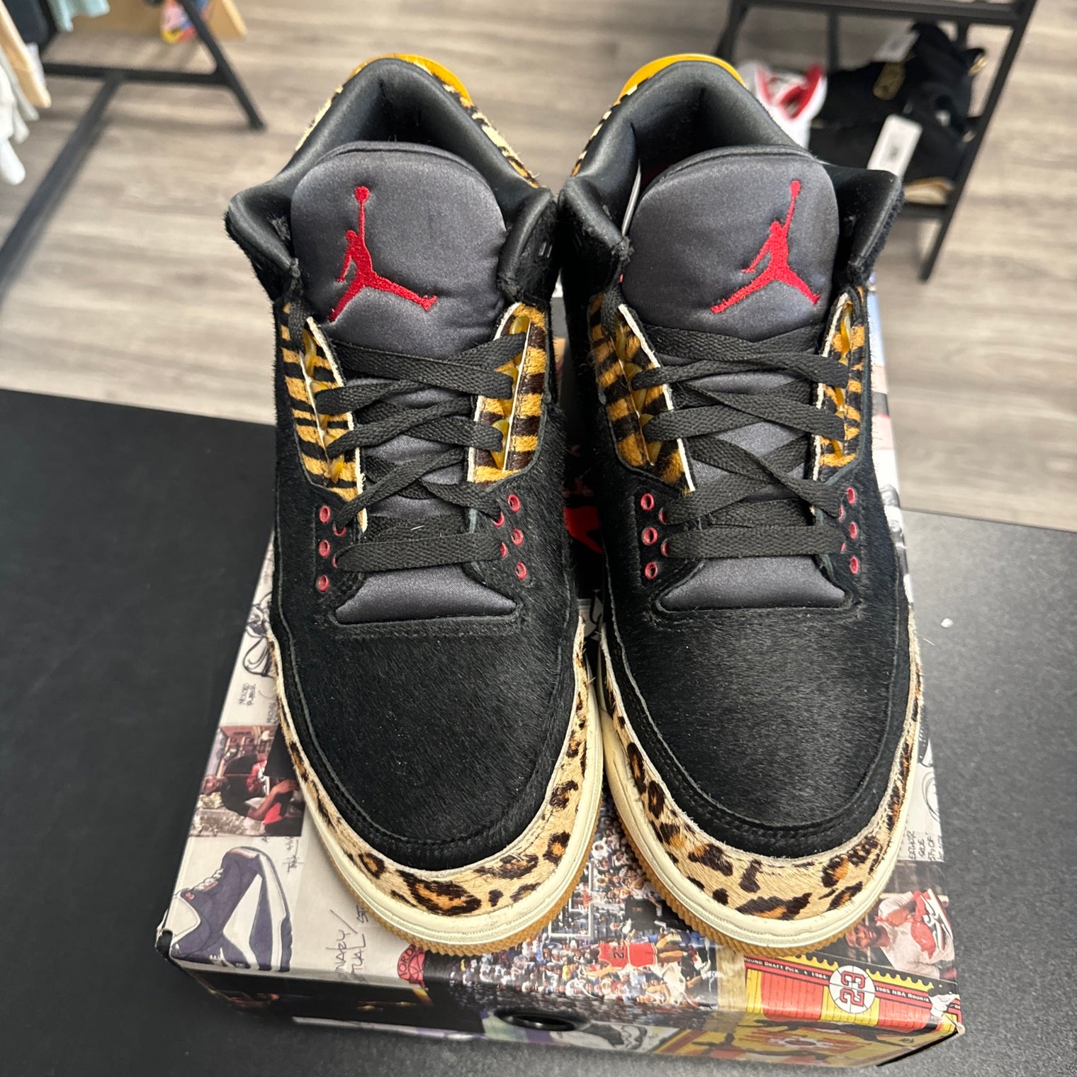 Animal Instinct Jordan 3 (USED)
