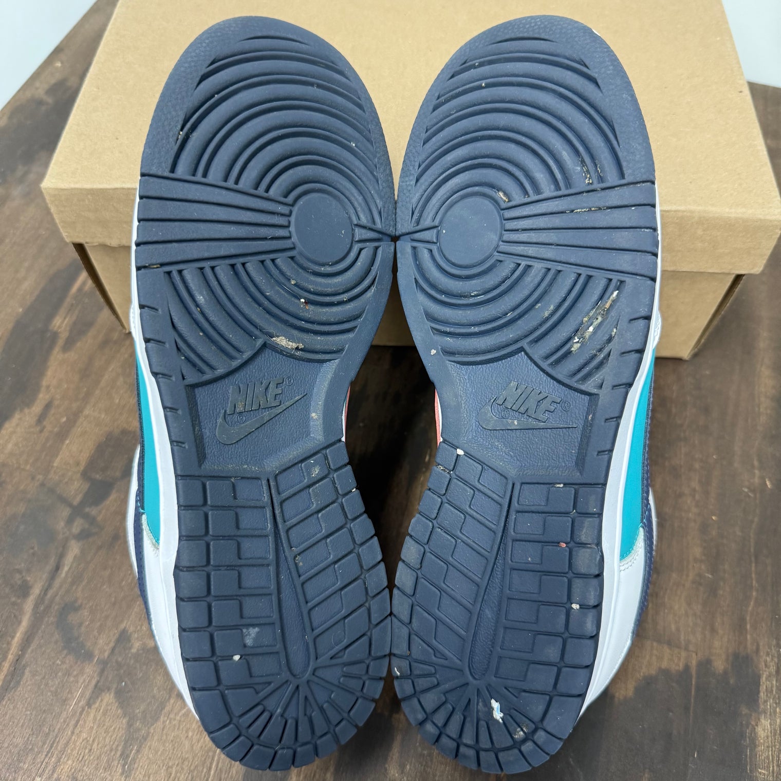 Dusty Cactus Nike Dunk Low (USED,No Box)