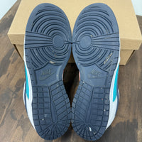 Dusty Cactus Nike Dunk Low (USED,No Box)