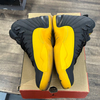 University Gold Jordan 12 Retro (USED)