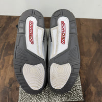 Cool Grey Jordan 3 (USED)
