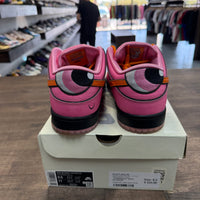 Powerpuff Girls Blossom SB Dunk Low (USED)