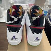 Hare Jordan 6 Retro (USED, No Box)