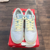 Gone Fishing Nike Dunk Low (USED)