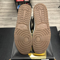 Palomino Jordan 1 High (USED)