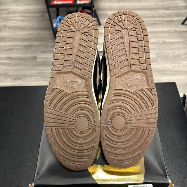 Palomino Jordan 1 High (USED)