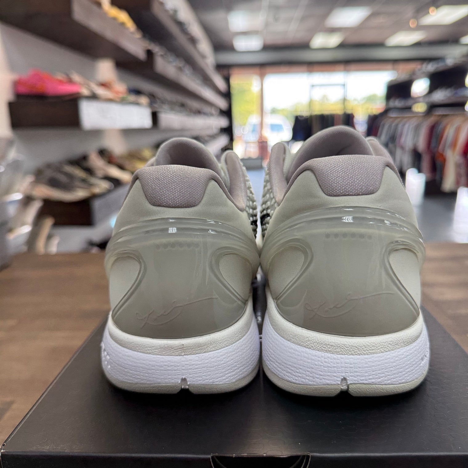 All-Star Sail Kobe 6 Protro (USED)