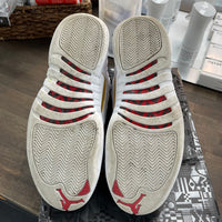 Fiba Jordan 12 (USED)