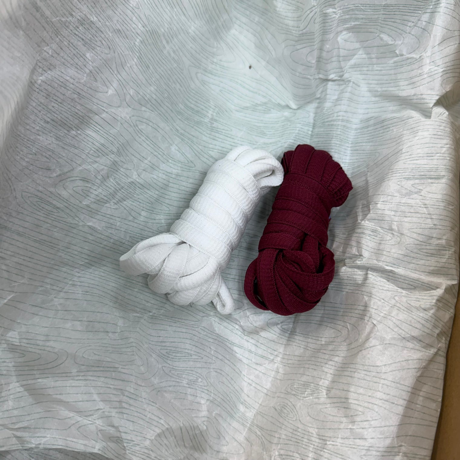 Philadelphia Phillies Nike SB Dunk Low (USED)