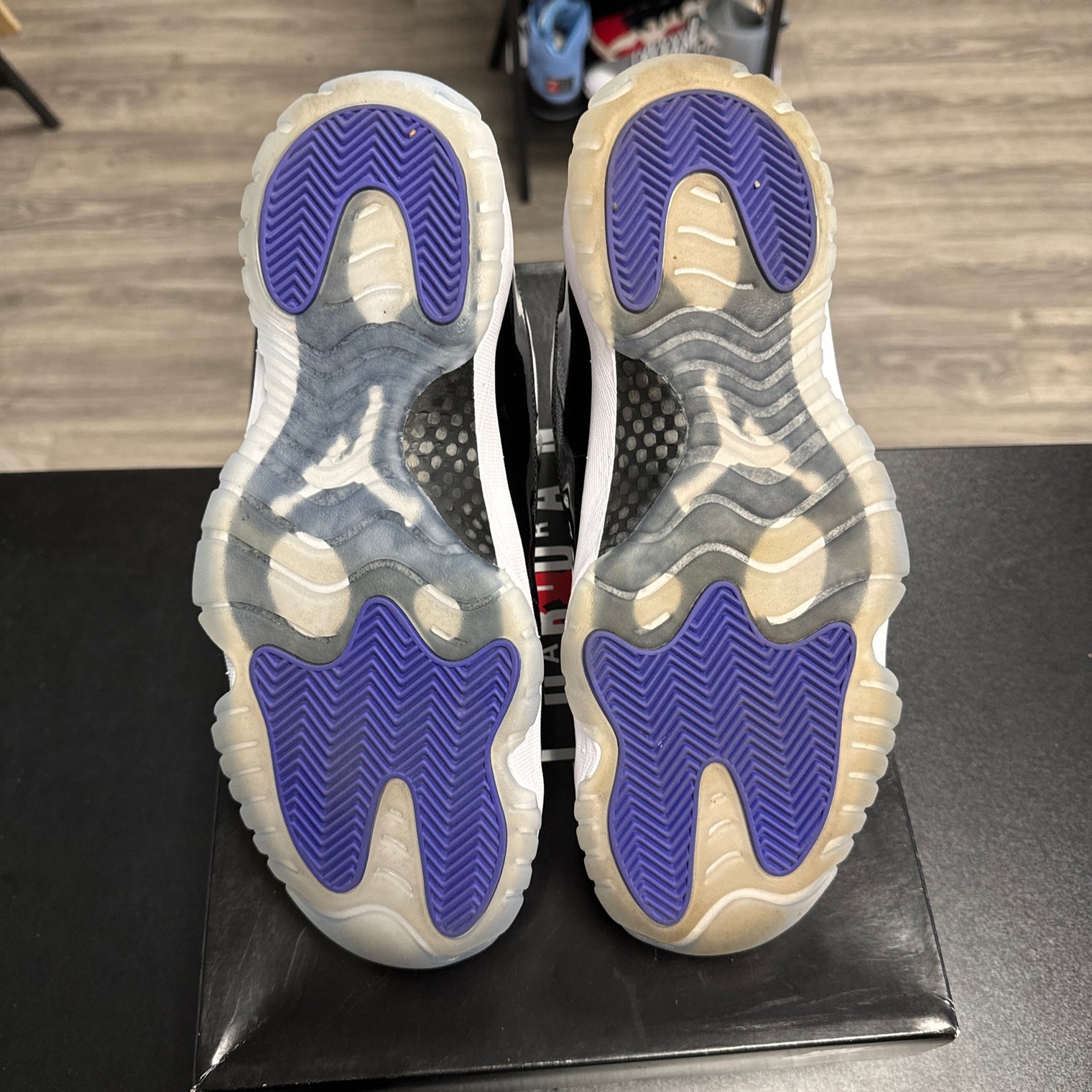 Concord Jordan 11 (USED)