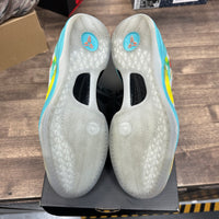 Venice Beach Kobe 8 Protro (USED)