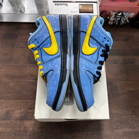 Powerpuff Girls Bubbles Sb Dunk Low (USED)
