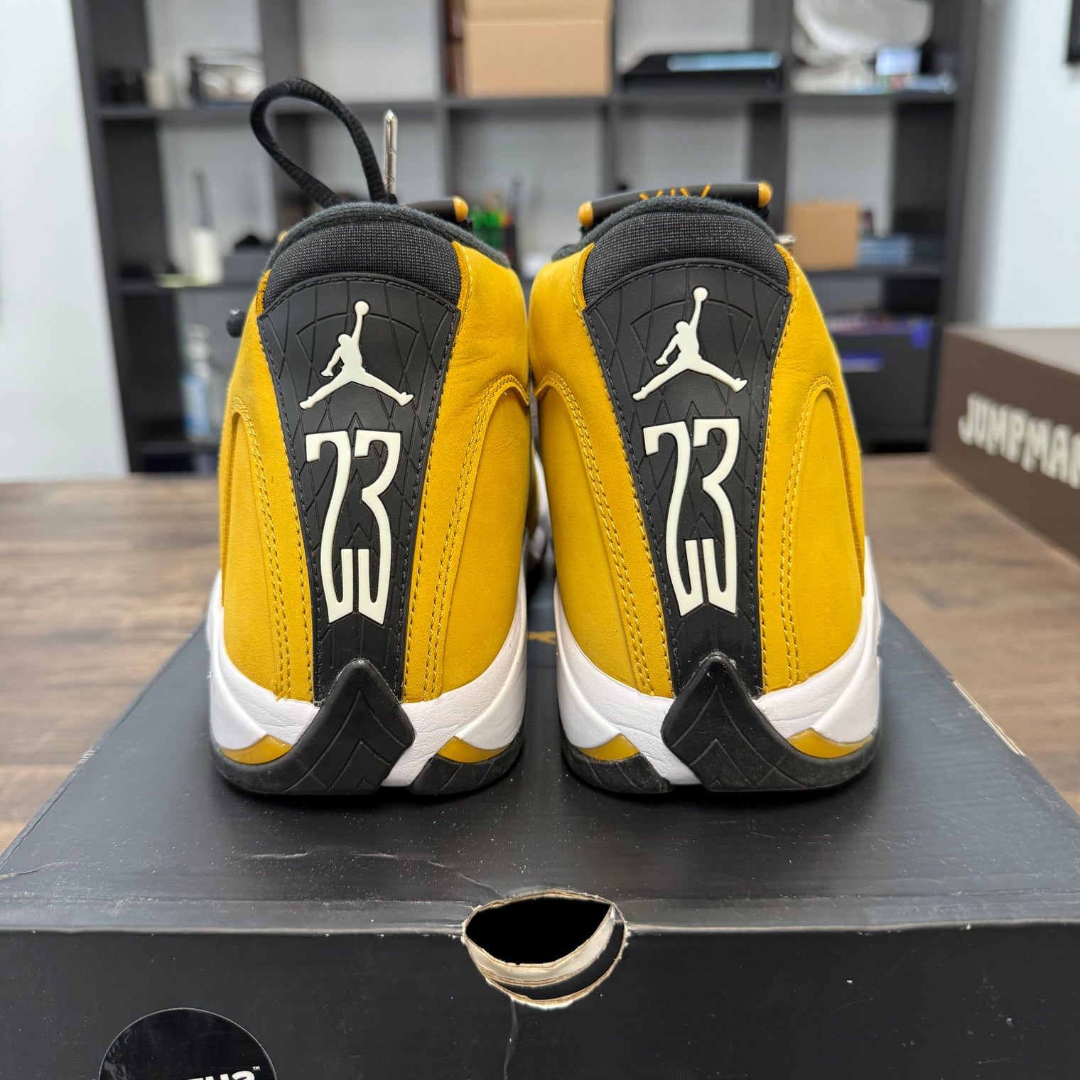 Ginger Jordan 14 (USED)