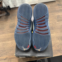 French Blue Jordan 12 (GS) (2016) (USED)