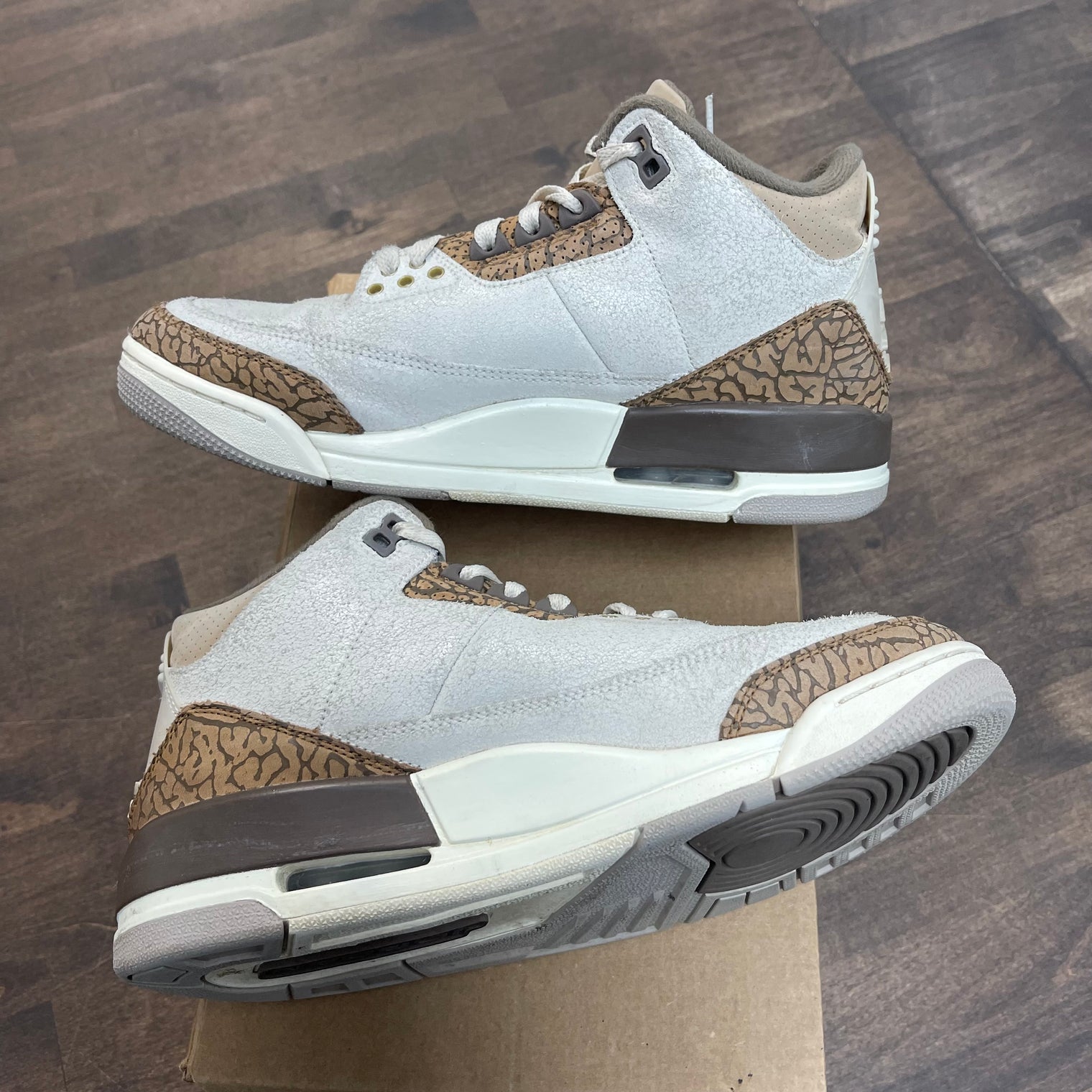 Palomino Jordan 3 (USED,No Box)