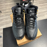 Master Jordan 12 (USED, no box)
