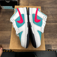 Dusty Cactus Dunk Low (USED,No Box)