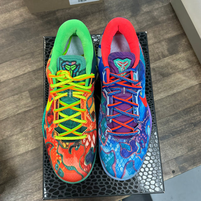 What the Kobe 8 Protro (USED)
