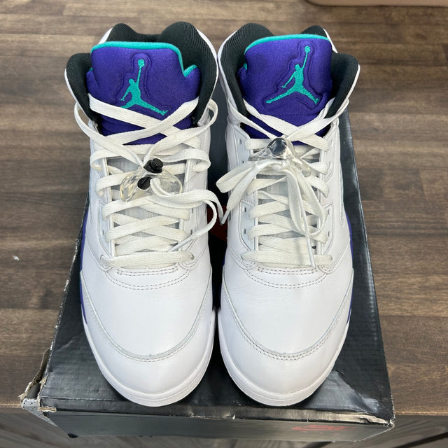 Grape Jordan 5 Retro (USED)