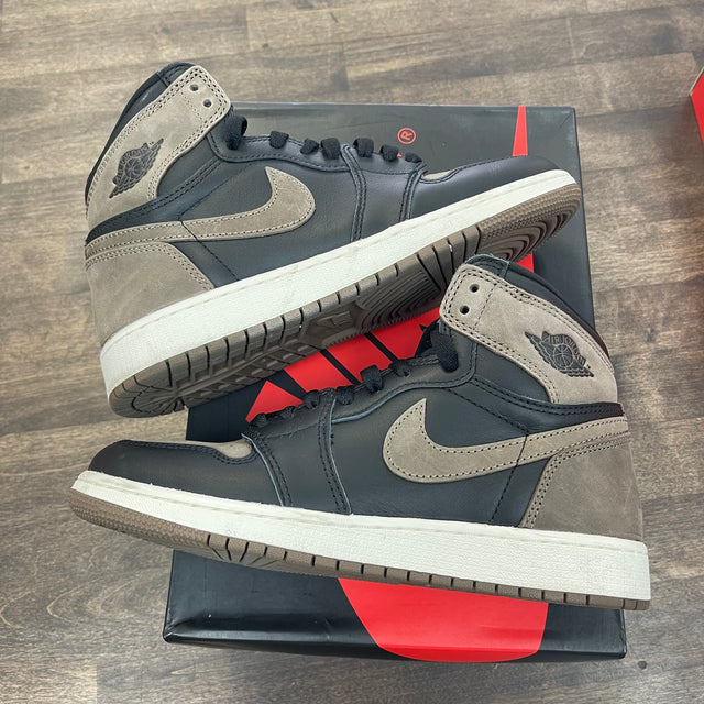 Palomino Jordan 1 High (GS) (USED)