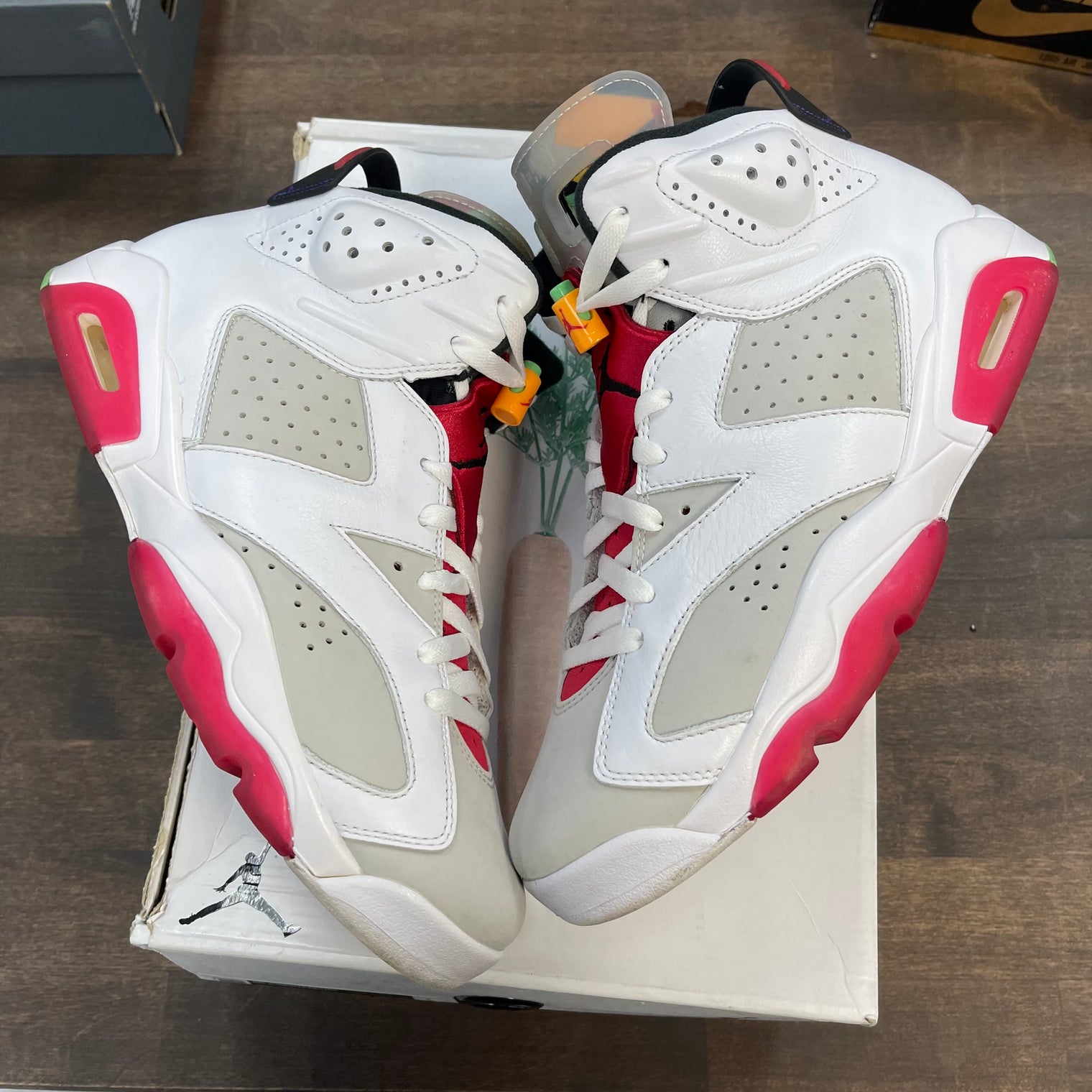 Hare Jordan 6 (USED)