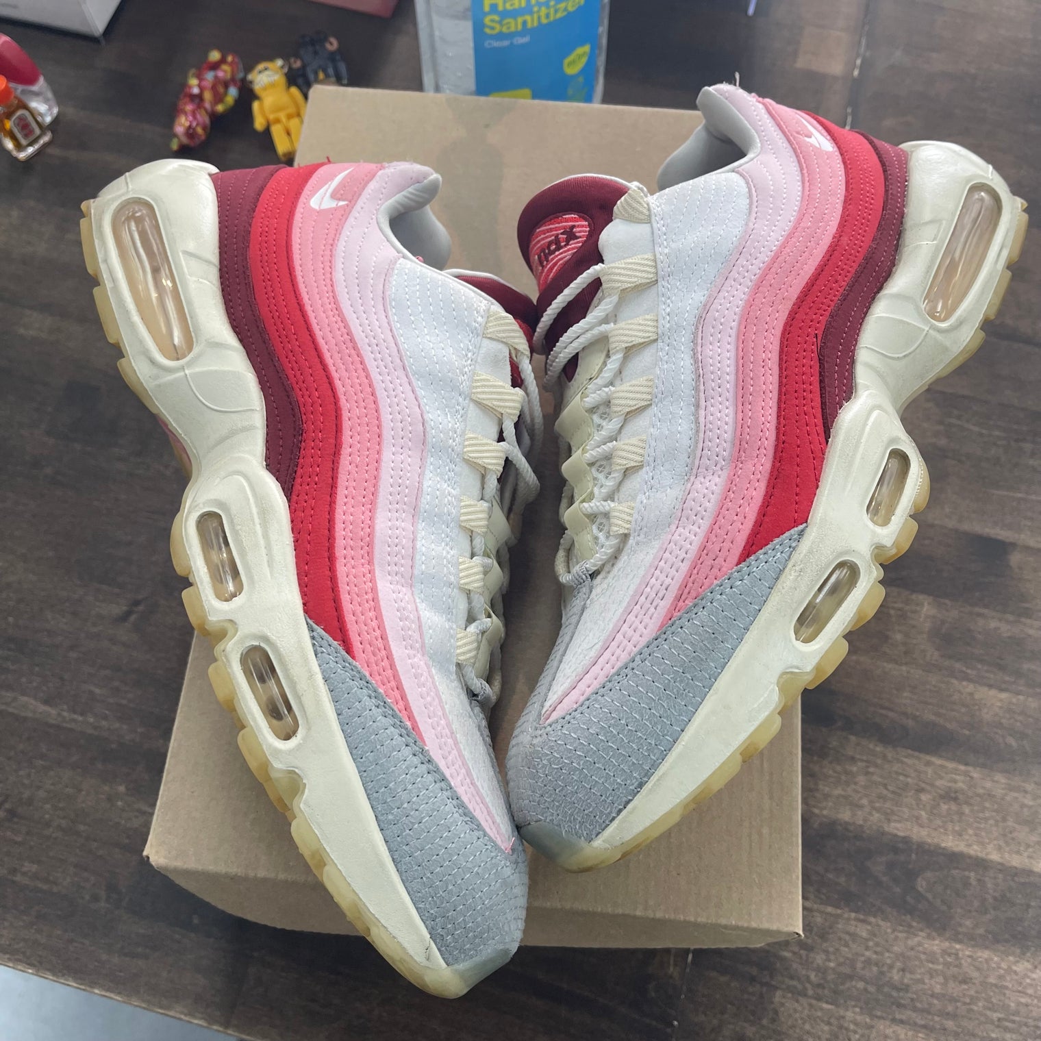 Anatomy Air Max 95 (USED, No Box)