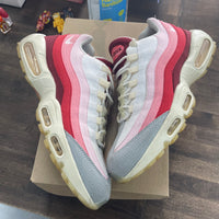 Anatomy Air Max 95 (USED, No Box)