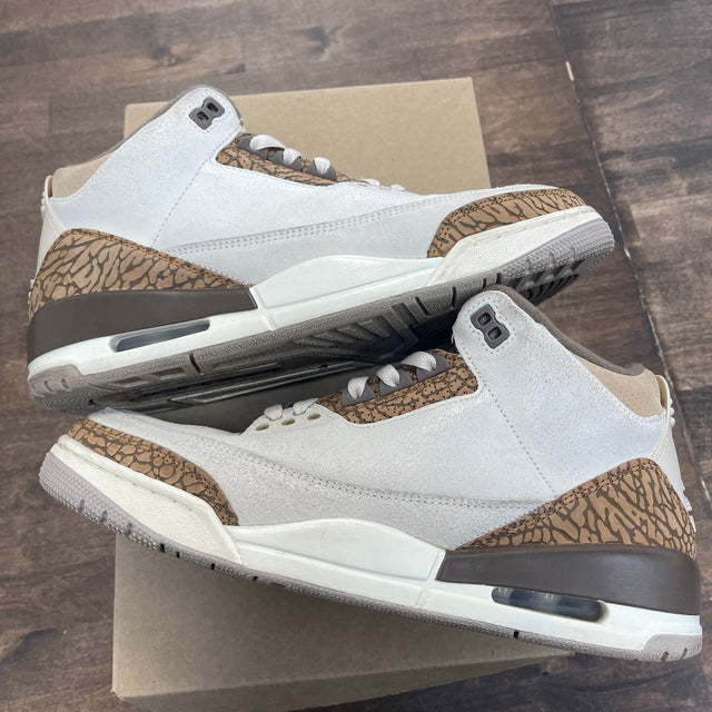 Palomino Jordan 3 Retro (USED, No Box)