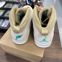 Solefly Jordan 10 (USED,No Box)