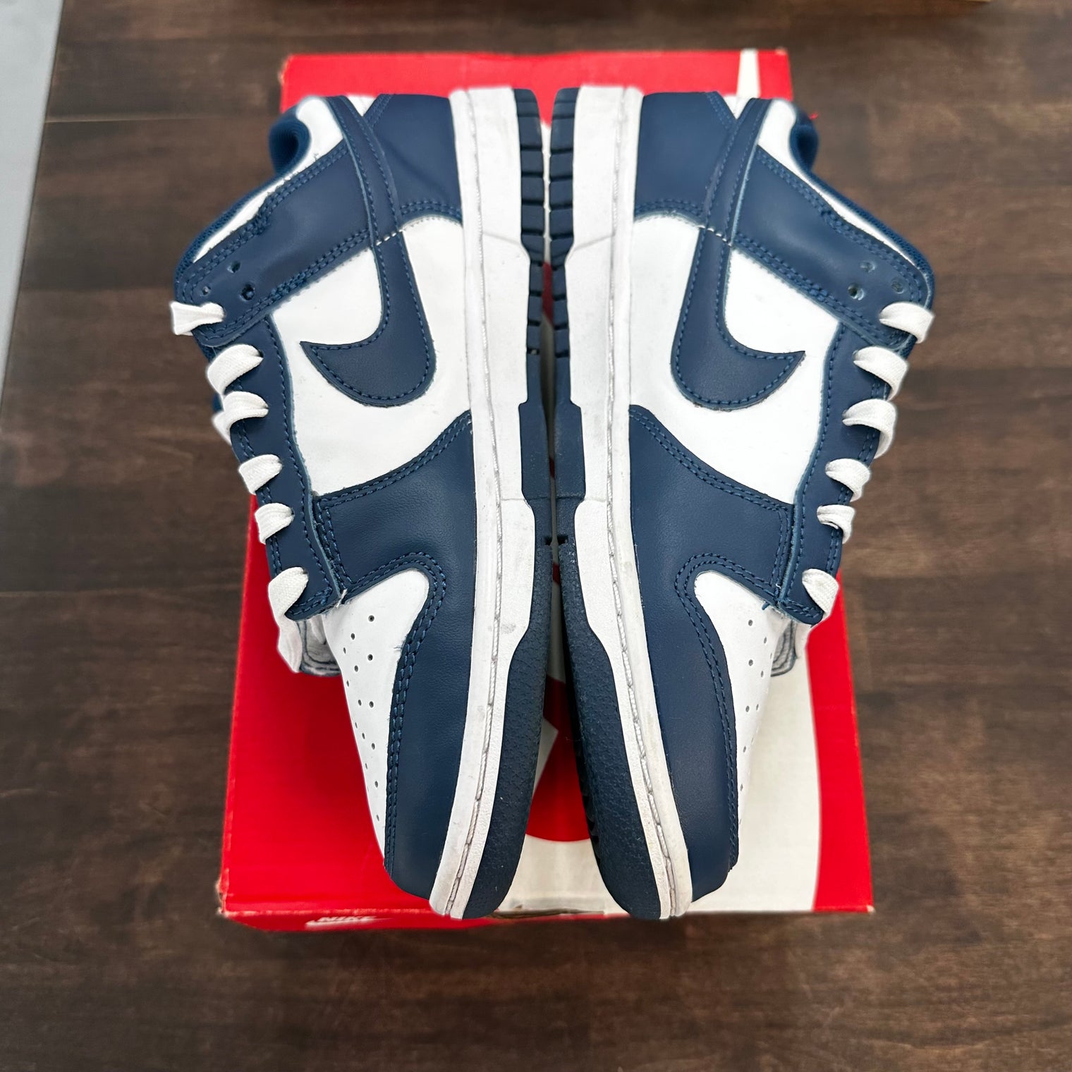 Valerian Nike Dunk Low (USED)