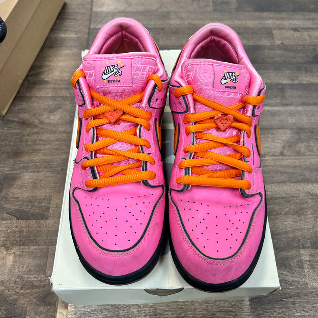 The Powerpuff Girls Blossom SB Dunk Low (USED)
