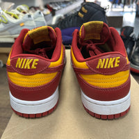 Midas Nike Dunk Low (USED, No Box)