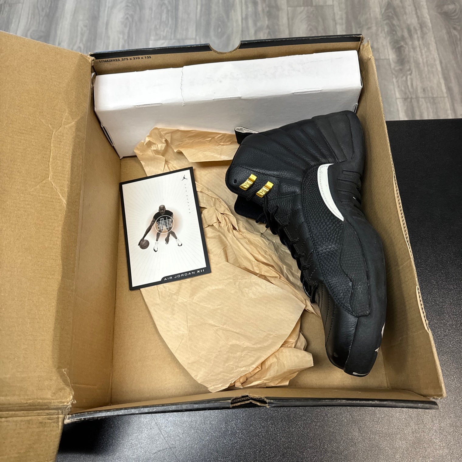 The Master Jordan 12 Retro (USED)