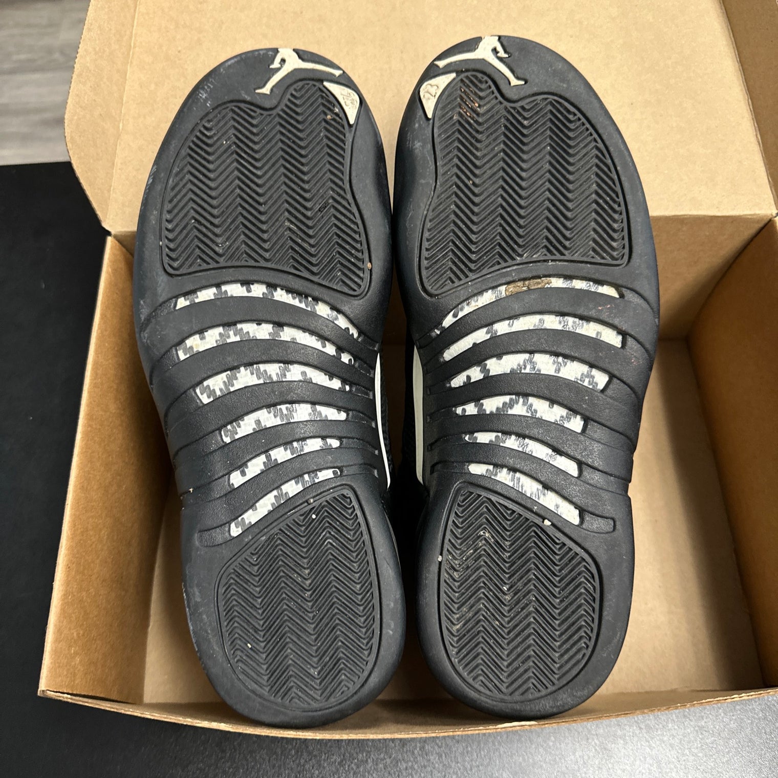 Master Jordan 12 Retro (USED, no box)