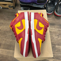 Midas Nike Dunk Low (USED, No Box)