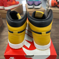 Pollen Jordan 1 High (USED, No Box)