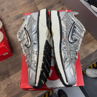 Metallic Silver Nike P-6000 (USED)