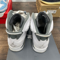 Cool Grey Jordan 6 (USED)