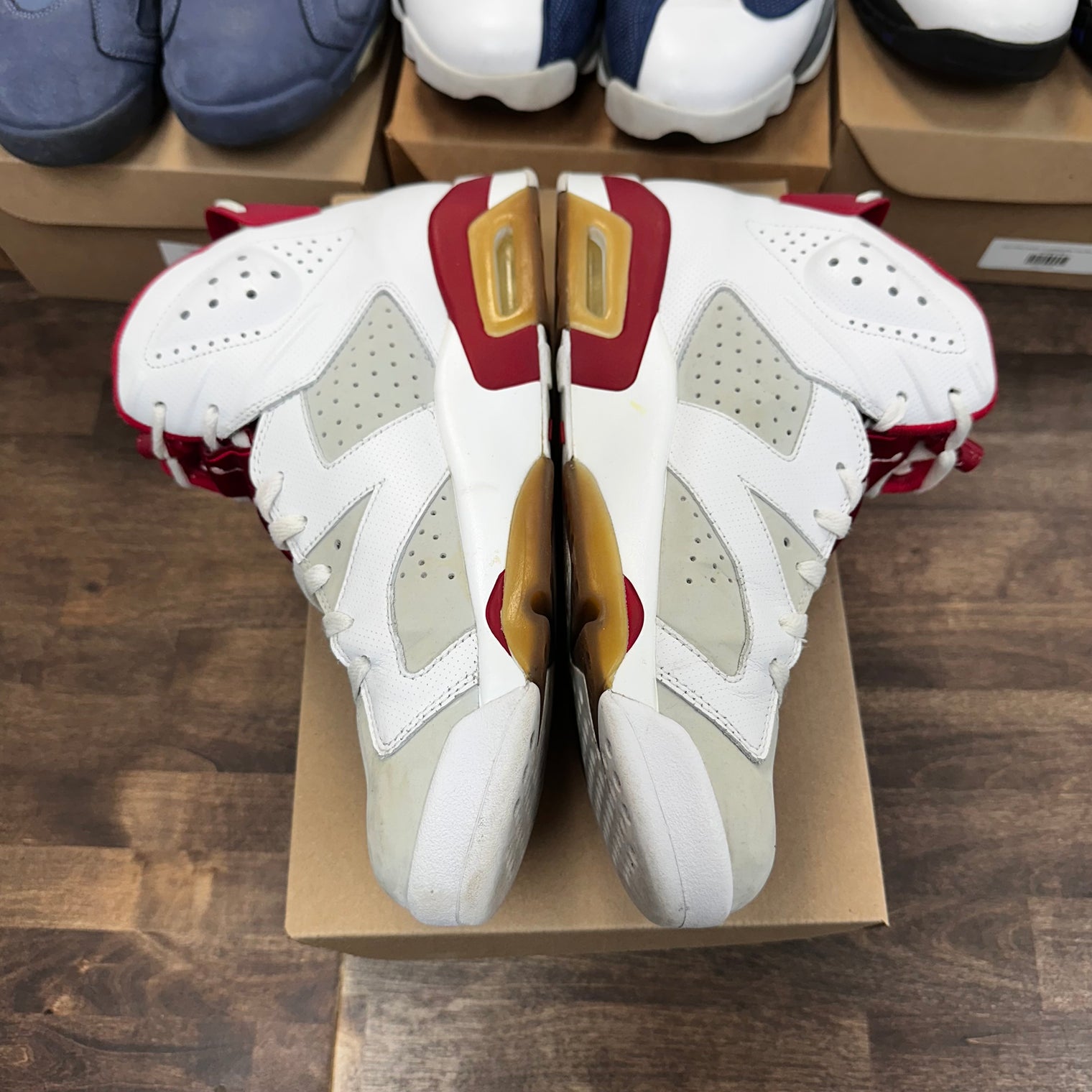 Alternate Jordan 6 (USED, No Box)