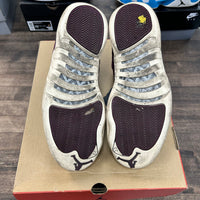 Bordeaux Jordan 12 (USED)
