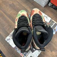 Air Jordan 10 Retro Desert Camo (USED)