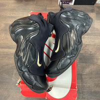 Carbon Fiber Flightposite (2014) (USED)