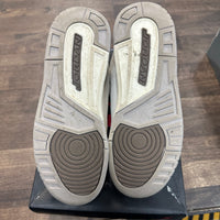 Palomino Jordan 3 (GS) (USED)