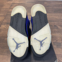 Grape Jordan 5 (USED)