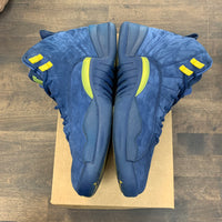 Nike Jordan 12 Michigan (USED NO BOX)