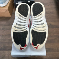 Twist Jordan 12 (USED, No Box)
